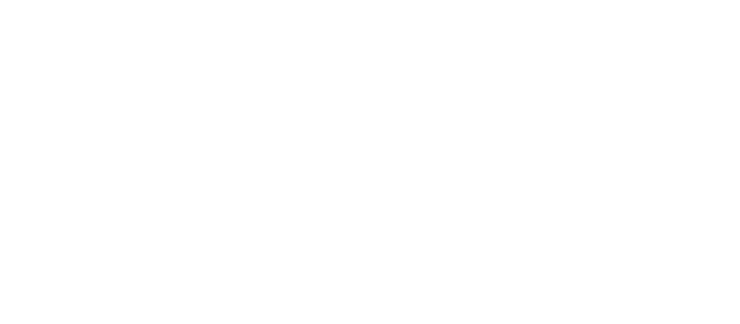 FreedomPPM Logo